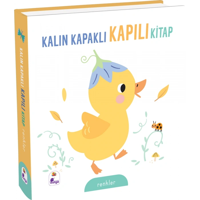 Kalın Kapaklı Kapılı Kitap - Renkler (Ciltli)