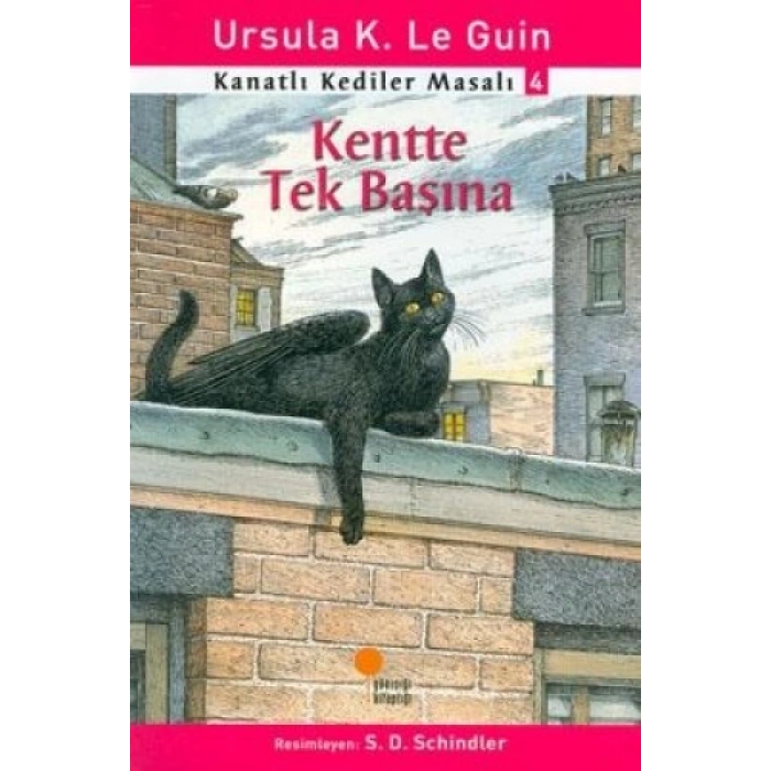 Kanatlı Kediler Masalı 4 - Kentte Tek Başına
