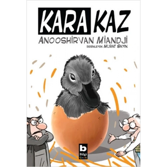 Kara Kaz