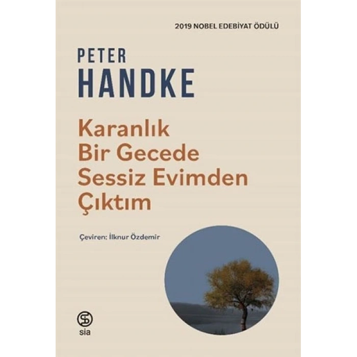 Karanlık Bir Gecede Sessiz Evimden Çıktım