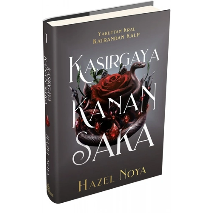 Kasırgaya Kanan Saka 1 (Ciltli)