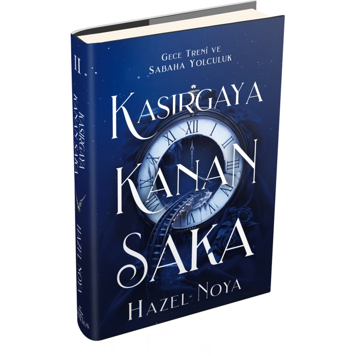 Kasırgaya Kanan Saka 2 (Ciltli)