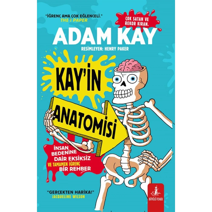 Kay’in Anatomisi