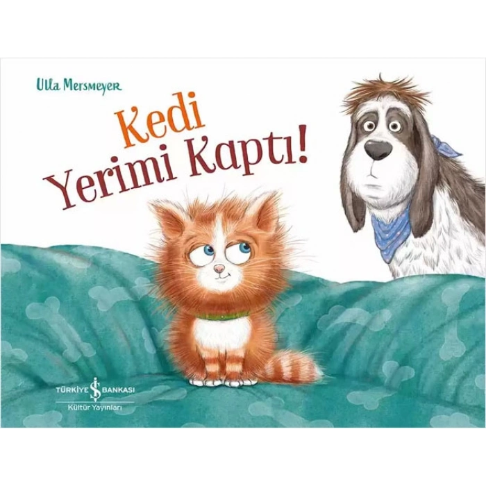 Kedi Yerimi Kaptı!