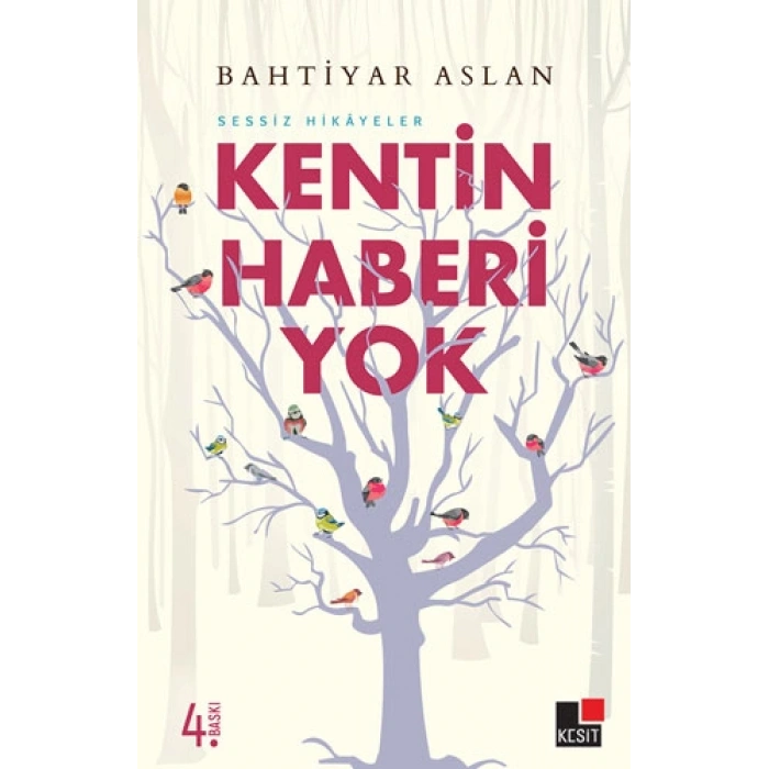 Kentin Haberi Yok