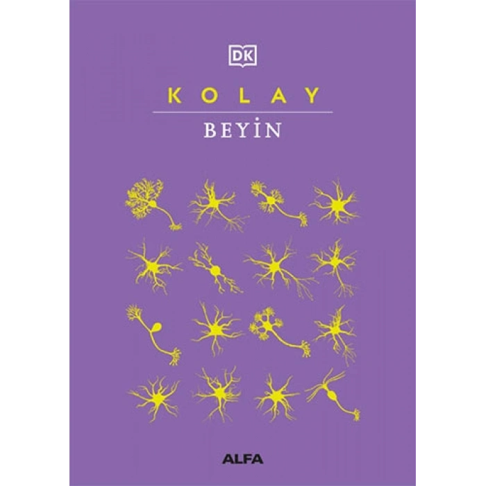 Kolay Beyin (Ciltli)