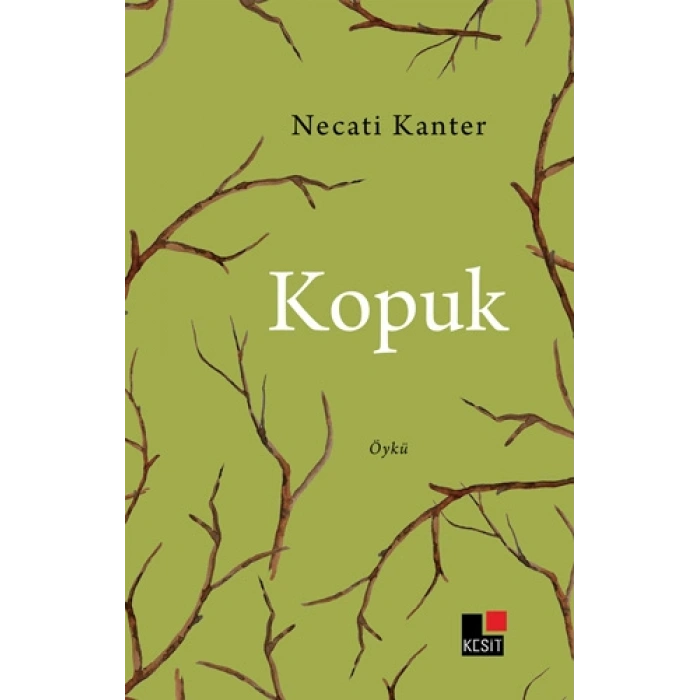 Kopuk
