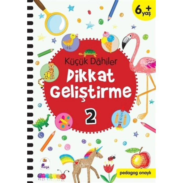 Küçük Dahiler Dikkat Geliştirme 2 (6+ Yaş)
