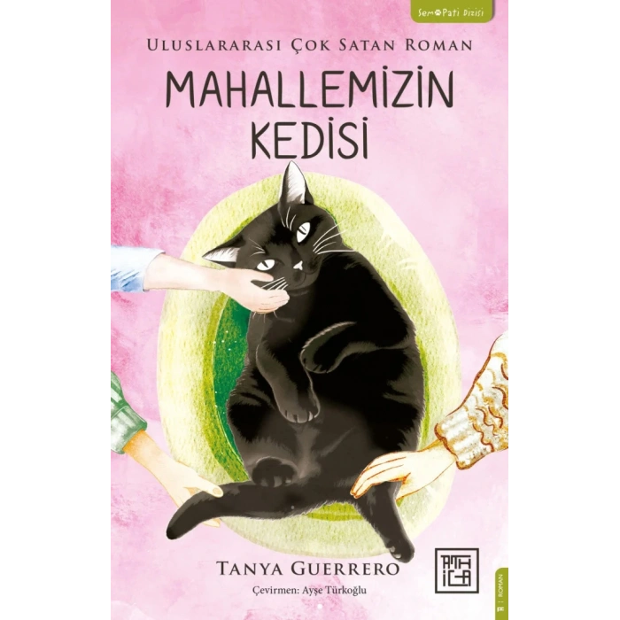 Mahallemizin Kedisi
