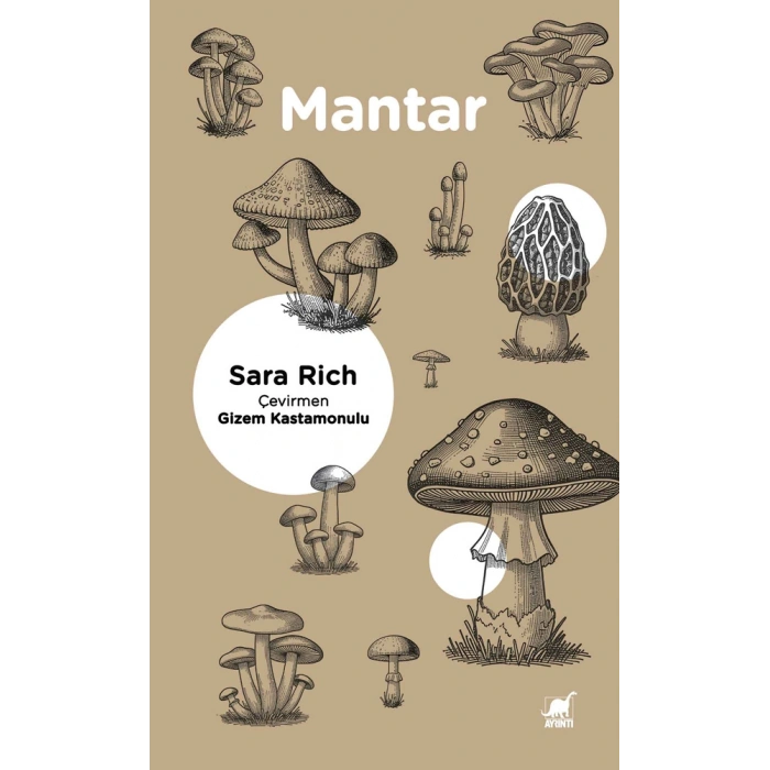Mantar