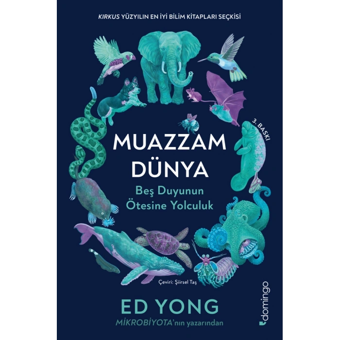 Muazzam Dünya