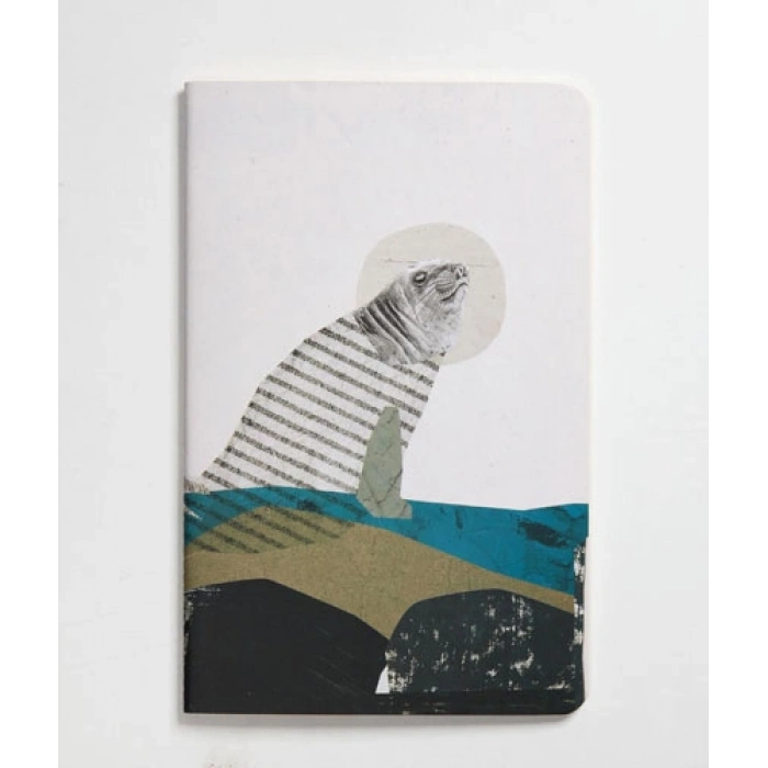 Nesin Defter - Deniz Filleri