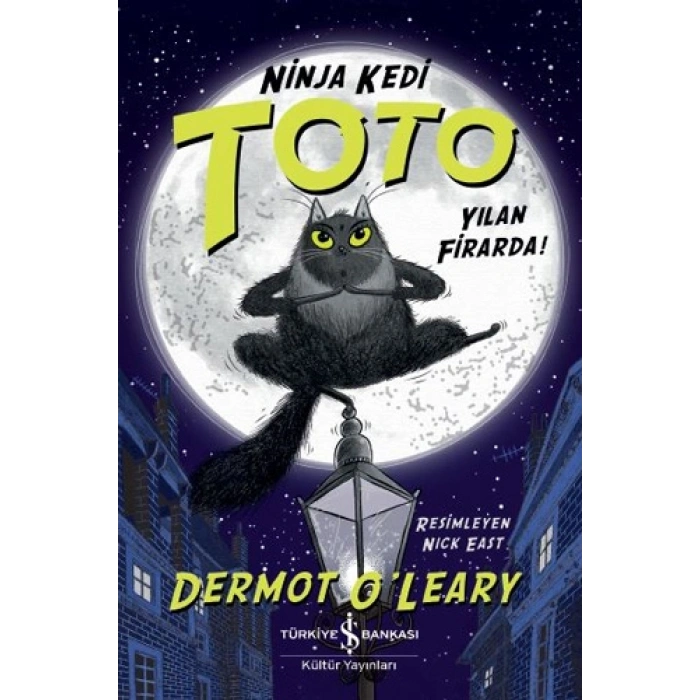 Ninja Kedi Toto