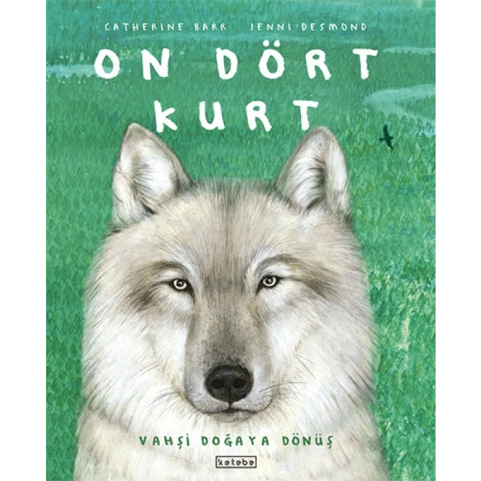 On Dört Kurt (Ciltli)
