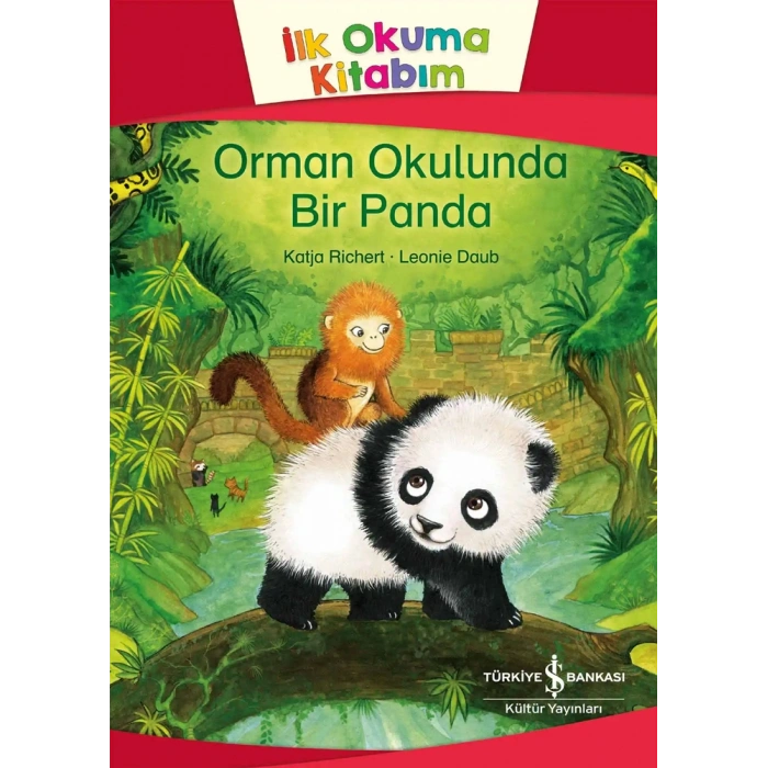 Orman Okulunda Bir Panda
