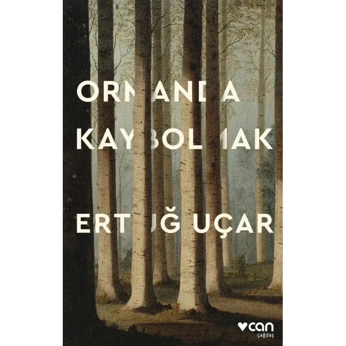 Ormanda Kaybolmak
