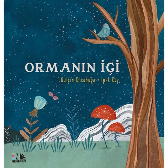 Ormanın İçi