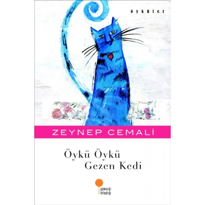 Öykü Öykü Gezen Kedi