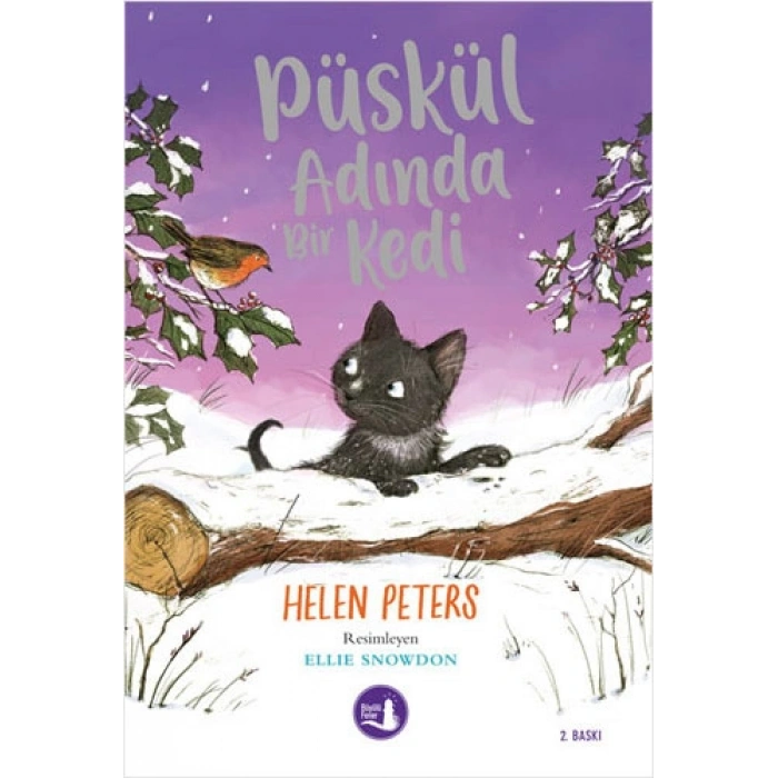 Püskül Adında Bir Kedi