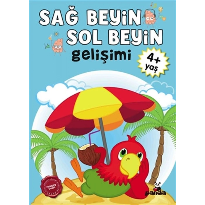Sağ Beyin - Sol Beyin Gelişimi +4 Yaş