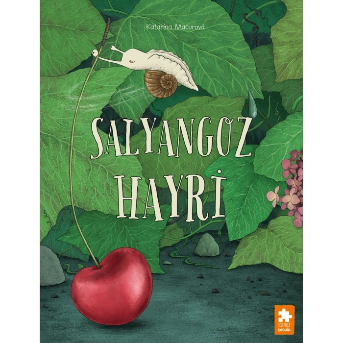 Salyangoz Hayri