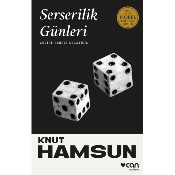 Serserilik Günleri