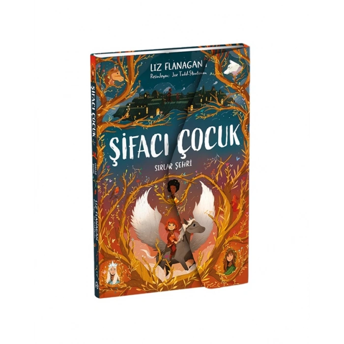 Şifacı Çocuk 2 - Sırlar Şehri