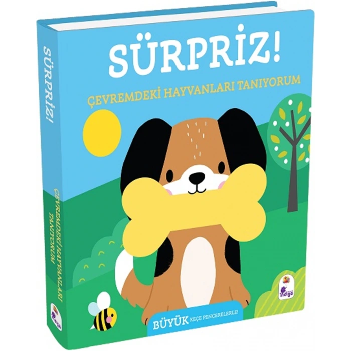 Sürpriz! - Çevremdeki Hayvanları Tanıyorum (Ciltli)