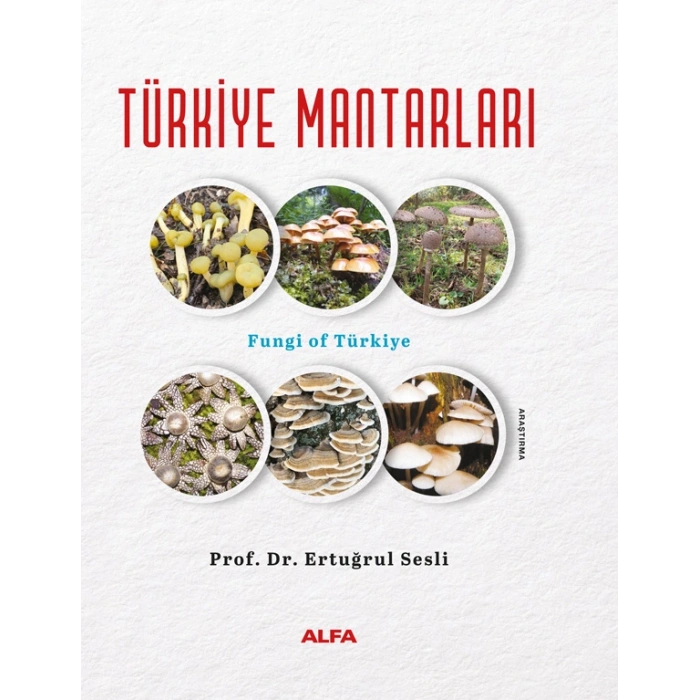 Türkiye Mantarları (Ciltli)