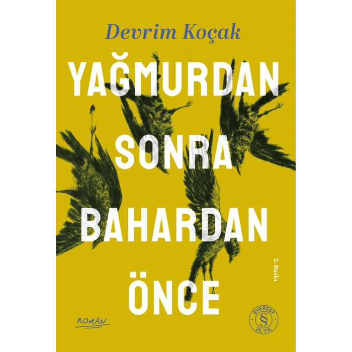 Yağmurdan Sonra Bahardan Önce / Devrim Koçak + Sanat Kitabı