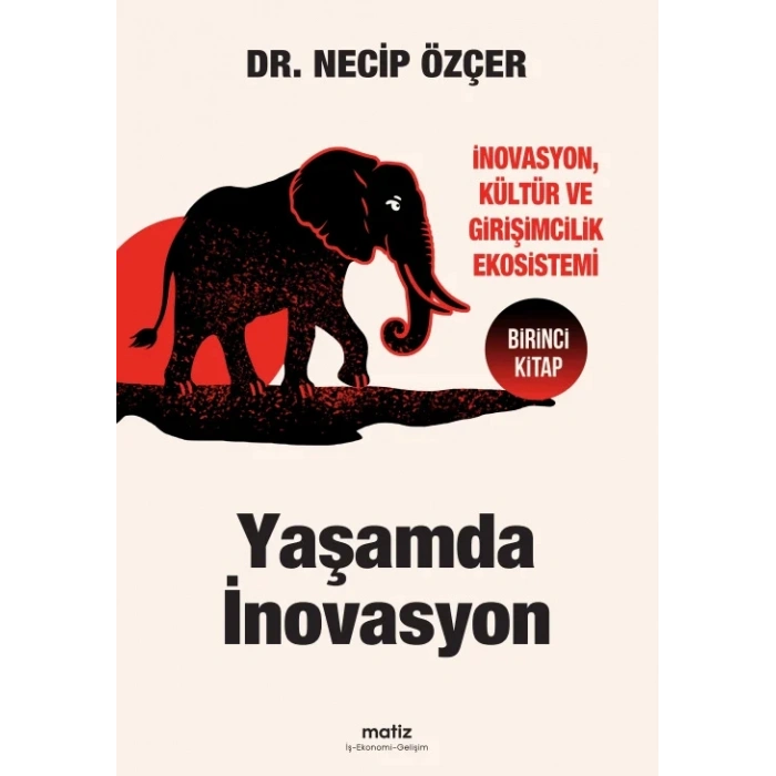 Yaşamda İnovasyon