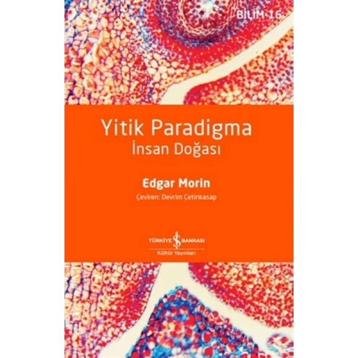 Yitik Paradigma - İnsan Doğası