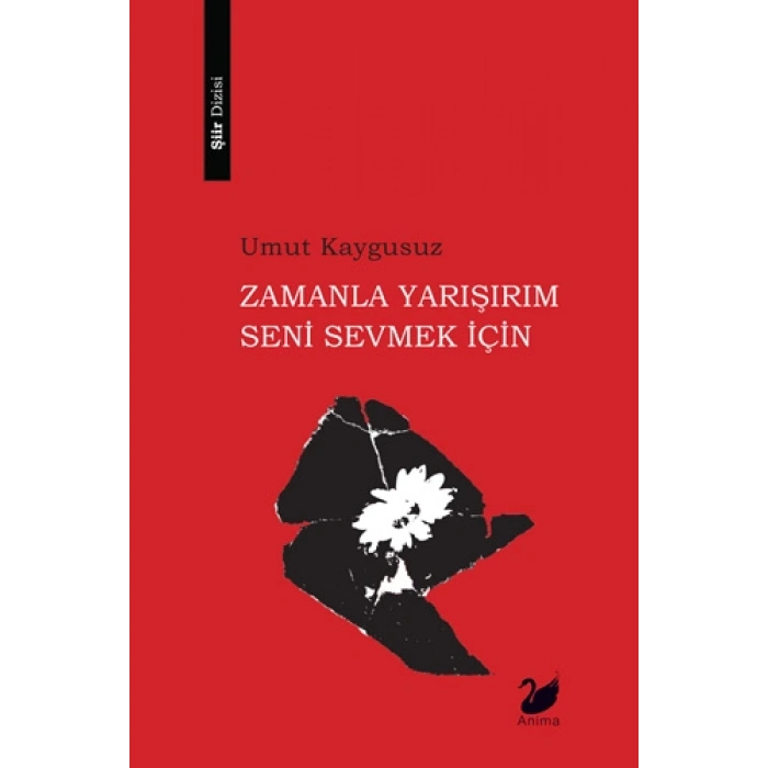 Zamanla Yarışırım Seni Sevmek İçin