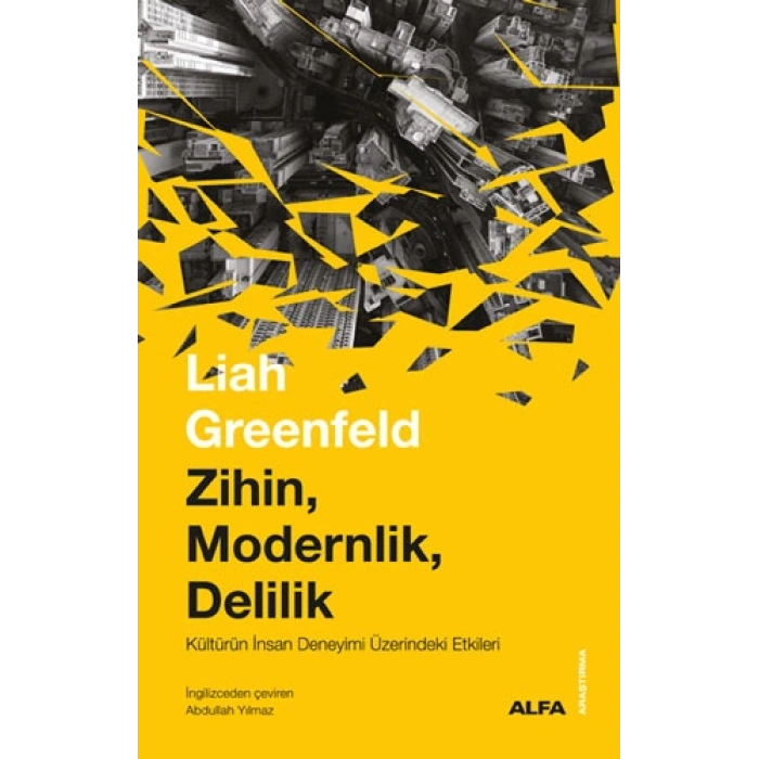 Zihin Modernlik Delilik
