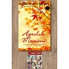 Ayrılık Mevsimi / Robin Antalek + Sanat Kitabı