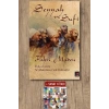 Seyyah ve Sufi / Fahri Maden + Sanat Kitabı