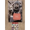 Köpek / Paul Nizon + Sanat Kitabı