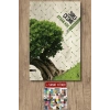 Sırlıçeşme / Ayhan Koç + Sanat Kitabı