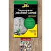 Depresyonun Üstesinden Gelmek