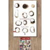 Denize Doğru / Nazlı Kırcı + Sanat Kitabı