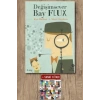Değişimsever Bay Flux