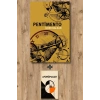 Pentimento