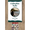 Cebimdeki Taşlar