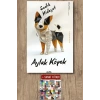 Aylak Köpek / Sadık Hidayet + Sanat Kitabı