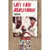 Sarnıç / Sait Faik Abasıyanık + Sanat Kitabı