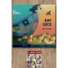 Bay Gece