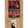 Zorunlu Bağlılık