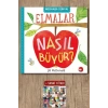 Merhaba Dünya! - Elmalar Nasıl Büyür ?