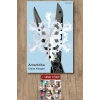 Sanat Kitabı + Antarktika / Claire Keegan