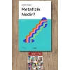 Metafizik Nedir?